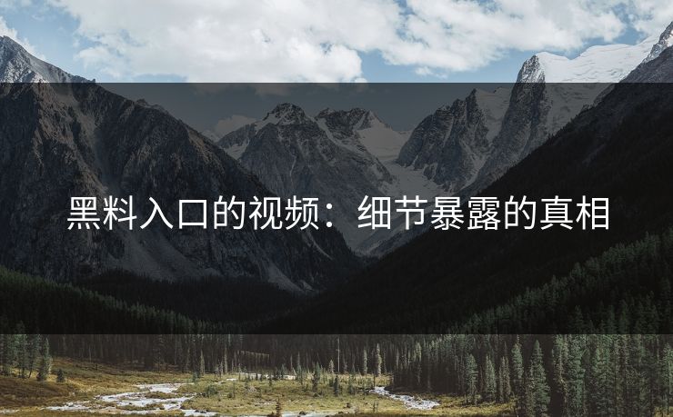 黑料入口的视频：细节暴露的真相