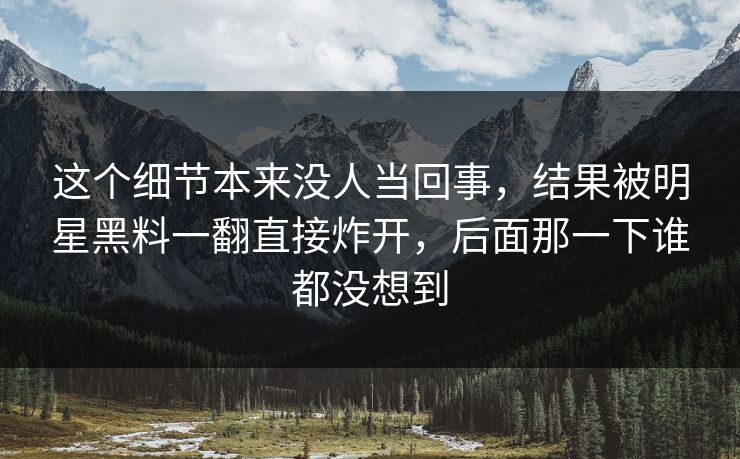 这个细节本来没人当回事，结果被明星黑料一翻直接炸开，后面那一下谁都没想到