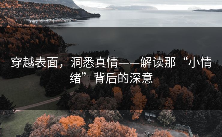 穿越表面，洞悉真情——解读那“小情绪”背后的深意